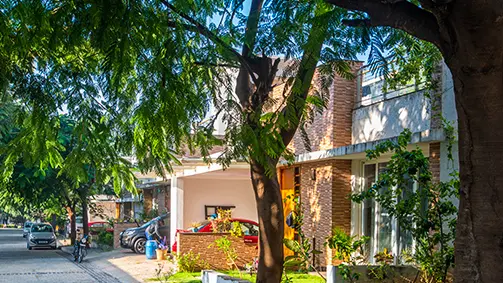 Sterling Luxury Villas | Tree lined driveway